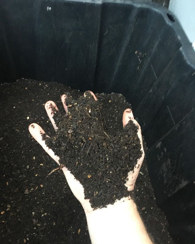 Worm manure produced from compost bin