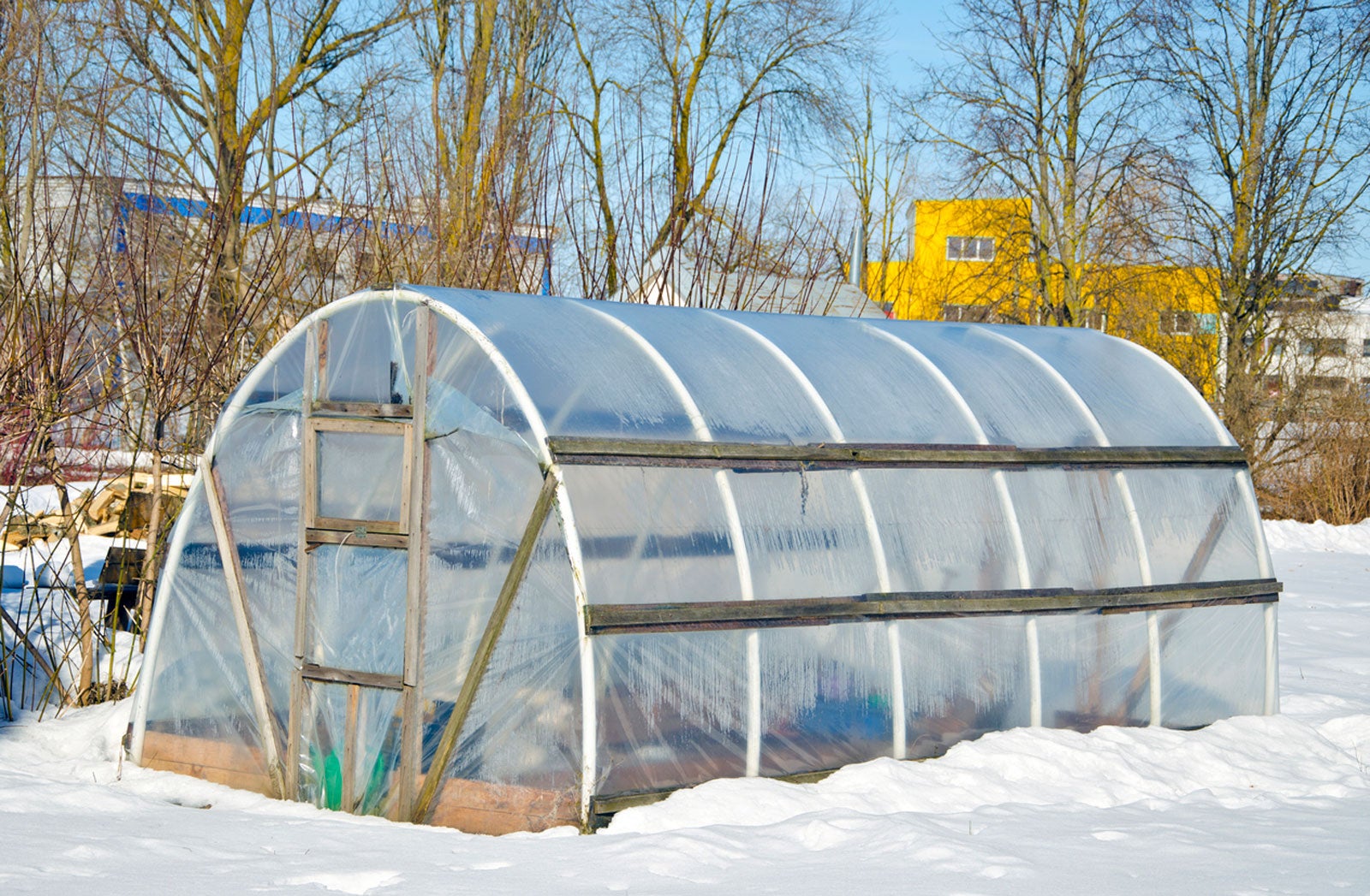 how-cold-can-plants-survive-in-a-greenhouse-foliar-garden