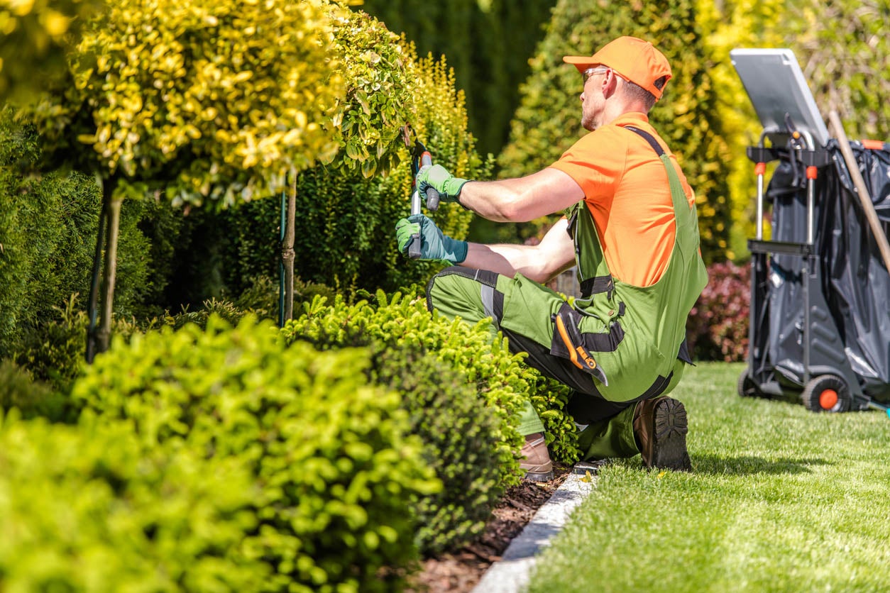 how-much-do-landscapers-charge-to-plant-flowers-foliar-garden