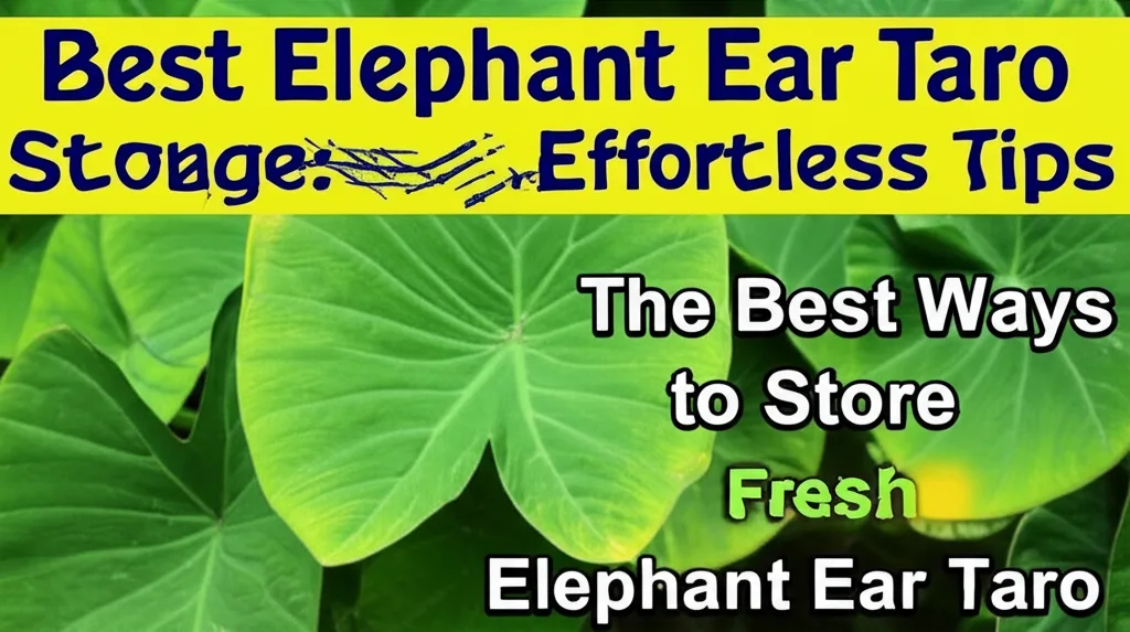 Best Elephant Ear Taro Storage: Effortless Tips. The Best Ways to Store Fresh Elephant Ear Taro.