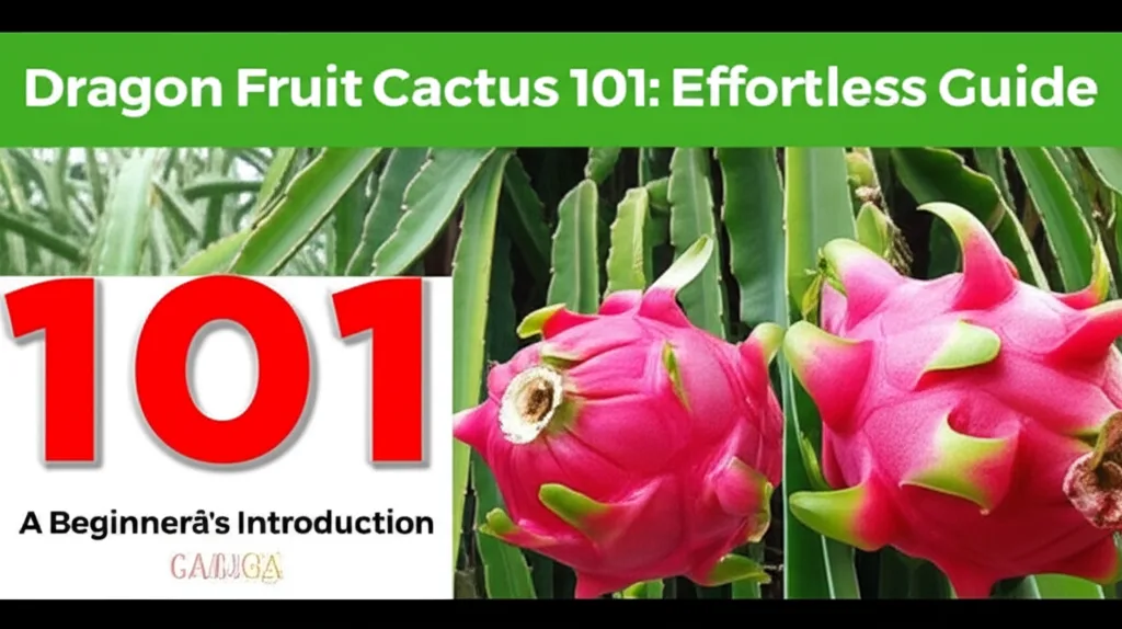 Dragon Fruit Cactus 101: Effortless Guide. Dragon Fruit Cactus 101: A Beginner’s Introduction