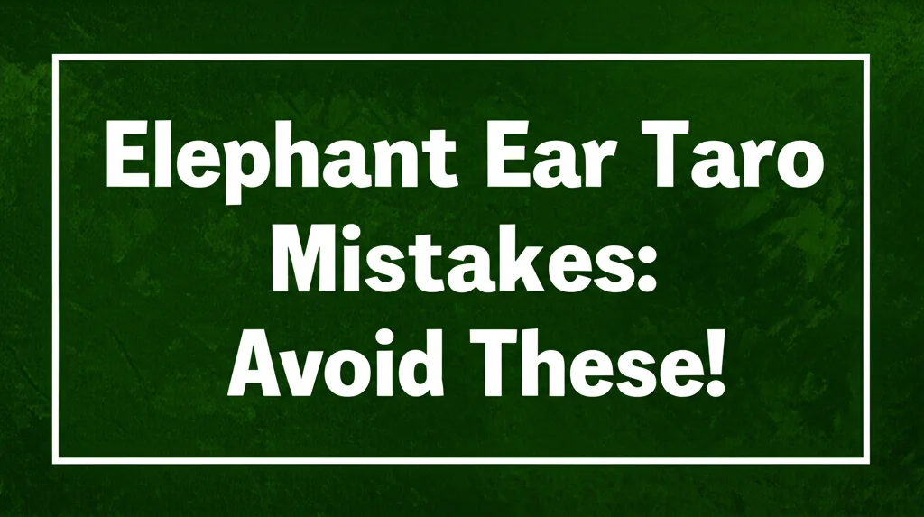 Elephant Ear Taro Mistakes: Avoid These!