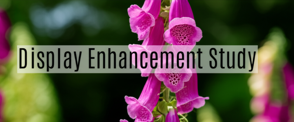Foxglove Beardtongue Flower Display Enhancement Study section visual