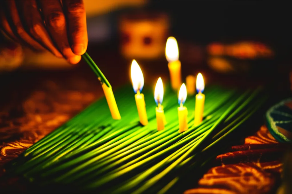 Generate a high-quality, relevant image prompt for an article about: Candle Bush: Essential New Year