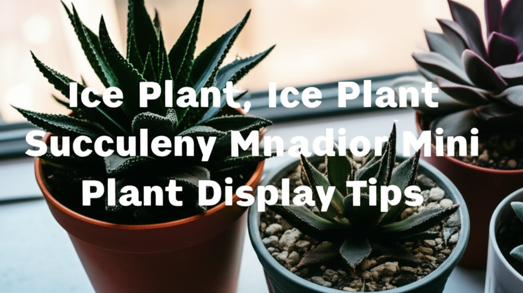 Ice Plant Succulent Indoor Creative Balcony Mini Plant Display Tips section visual