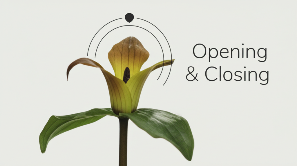 Jack-in-the-Pulpit flower opening and closing times studies section visual