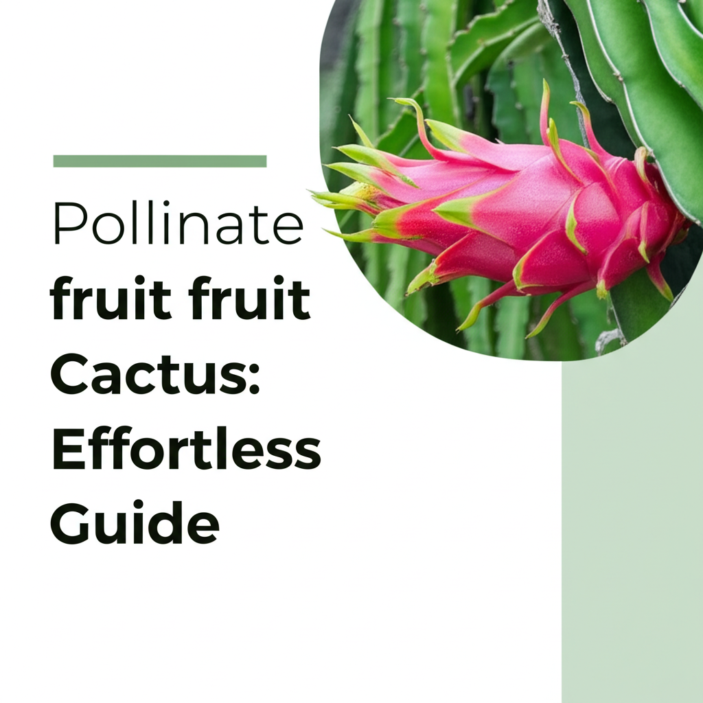 Pollinate Dragon Fruit Cactus: Effortless Guide