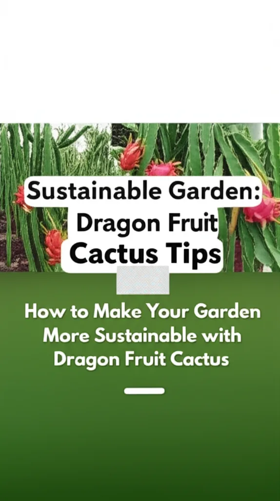 Sustainable Garden: Dragon Fruit Cactus Tips. How to Make Your Garden More Sustainable with Dragon F